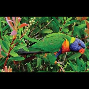 Meet your Posher, Josh